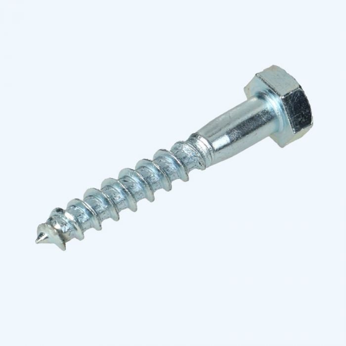 Houtdraadbout 10 x 100 mm (gegalvaniseerd)