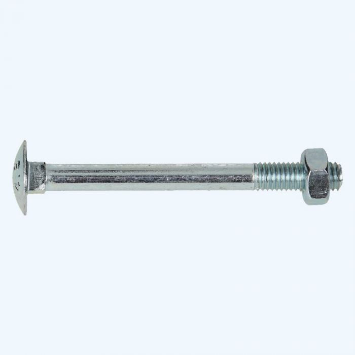 Slotbout met moer M10 x 100 mm (gegalvaniseerd)