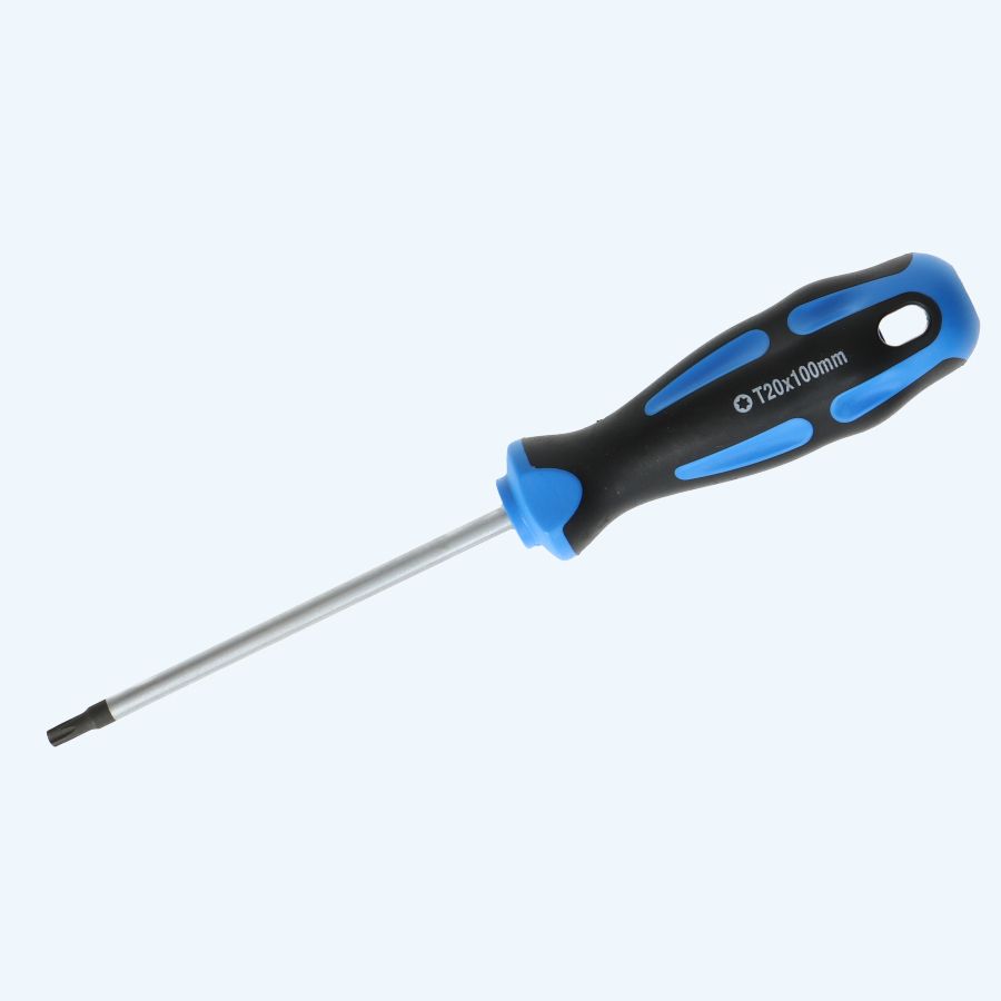Schroevendraaier Torx 20 x 100 mm