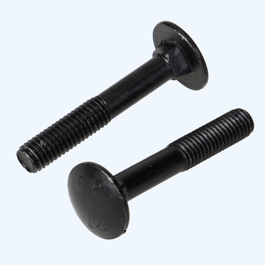 25 stuks slotbout M6 x 50 mm zwart 25 stuks slotbout M6 x 50 mm zwart